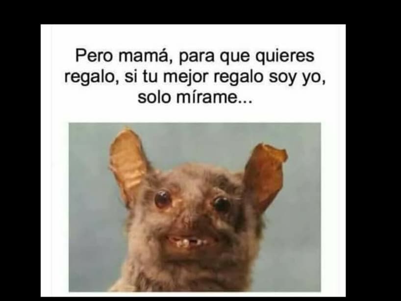 ¿Qué le vas a regalar a tu madre? ¿Tu lindo y bello rostro?