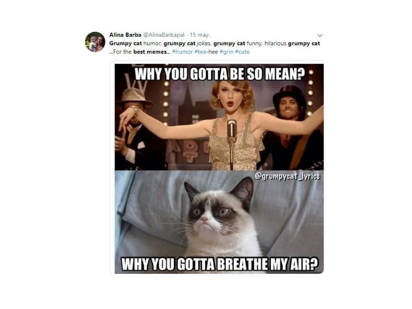 Nació el 4 de abril de 2012 en Arizona, Estados Unidos. "Why you gotta me so mean?", pregunta el meme. Con mal humor, Grumpy Cat le responde a Taylor Swift, "¿por qué estas respirando mi aire?