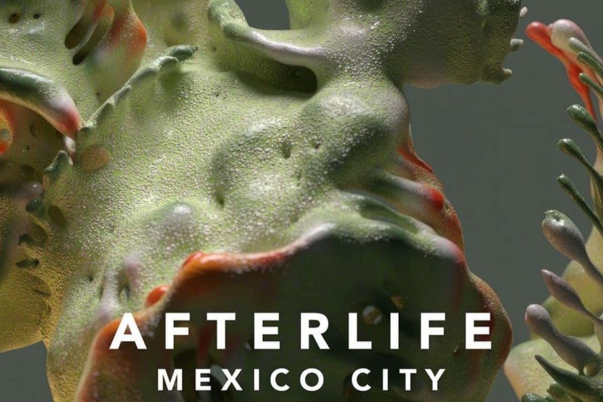Afterlife