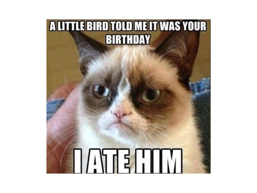 "Un pajarito me dijo que era tu cumpleaños. Me lo comí", expresa este meme.