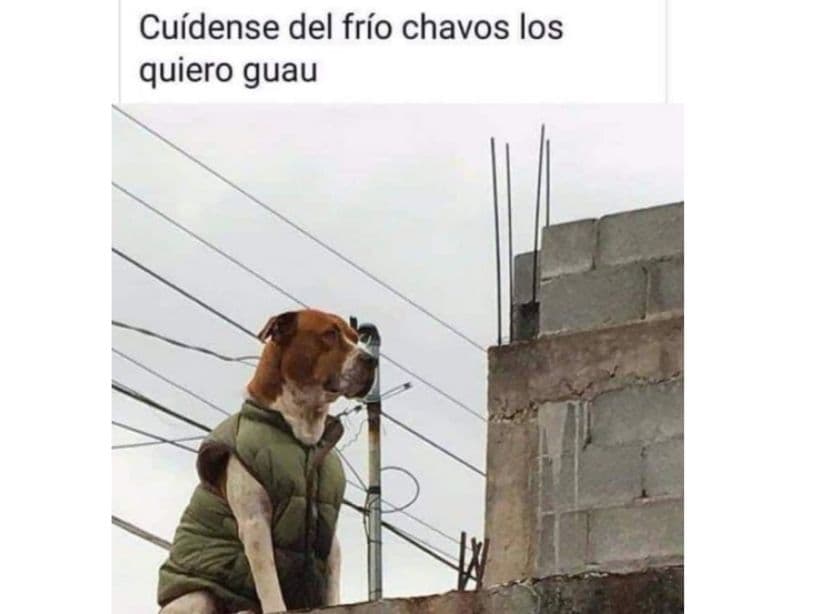 Tu barrio y los lomitos te respaldan.