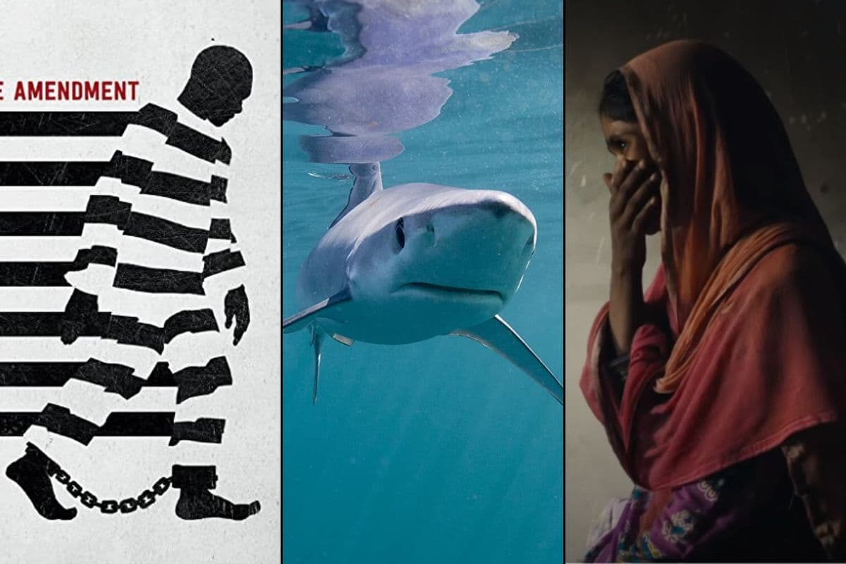 El pasado 17 de abril, Netflix libero diez películas y series documentales para que el público las pueda ver de manera gratuita en YouTube. La plataforma de streaming, que ha logrado sumar más de 167 millones de suscriptores, ha dado permiso a los maestros de proyectar sus documental en sus salones de clase y, cómo ahora no pueden ir los alumnos, quisieron poner el contenido de manera gratuita. Así lo anunciaron en su blog.