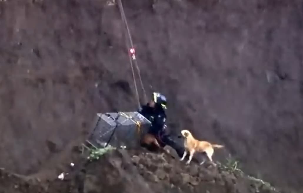 Un rescatista de Protección Civil bajó a salvar a los perritos que se cayeron al socavón en Puebla