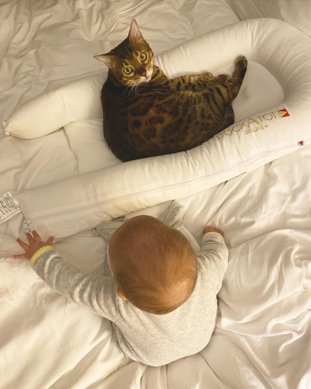 La tierna bebé nació el 28 de mayo y esta fue su primera fotografía en redes sociales. Y desde entonces, Joy no ha parado de compartir fotos de su hija con su otro amor felino.