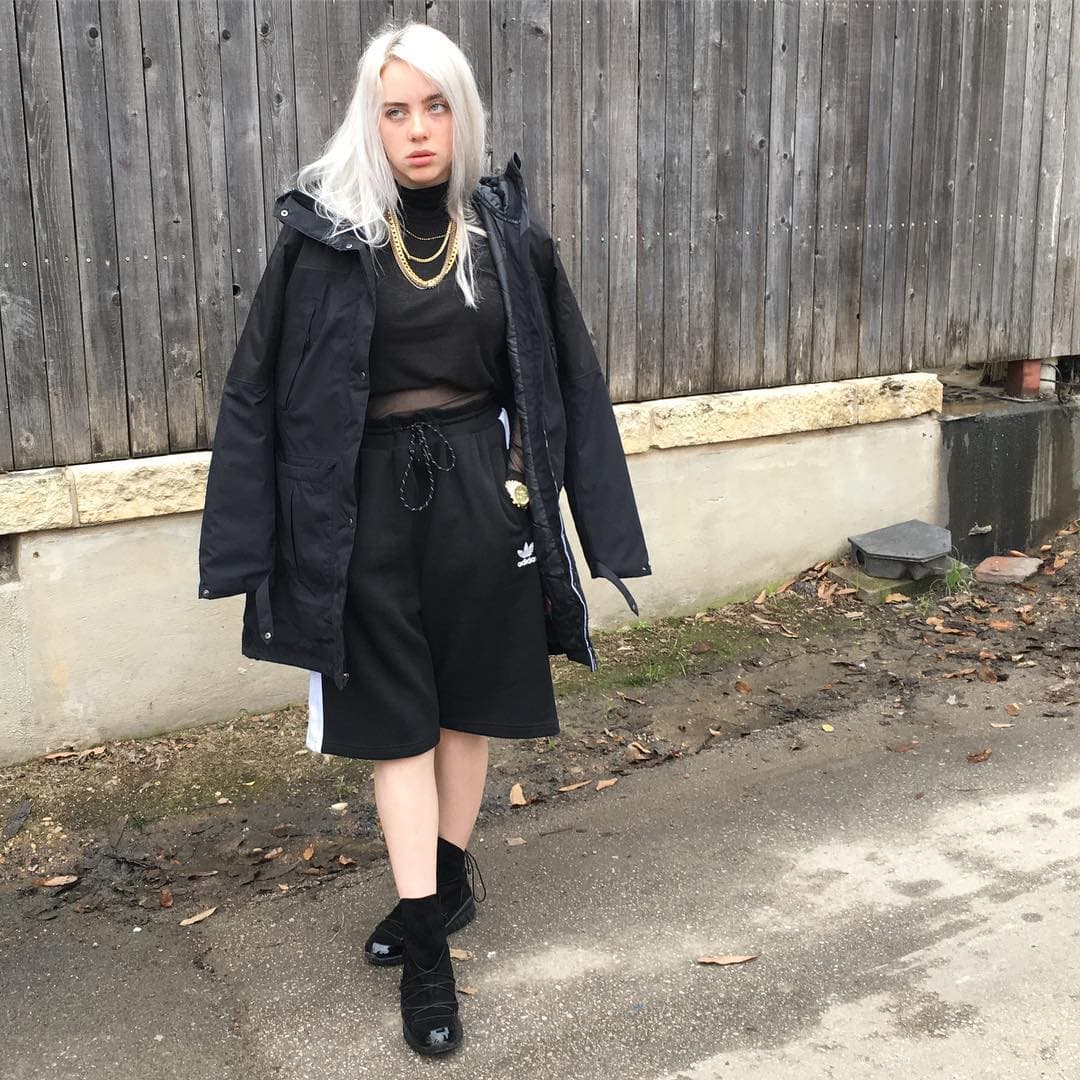 Al inicio de su carrera, Eilish lucía una larga cabellera platinada, que combinaba con su ropa oscura y holgada. Poco a poco fue haciéndole cambios a su pelo.