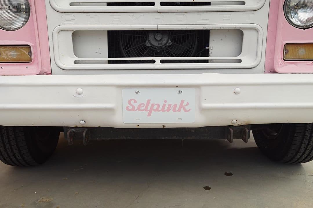 Estas no son las únicas fotos que habían subido, Selena reveló algunas pistas del video.