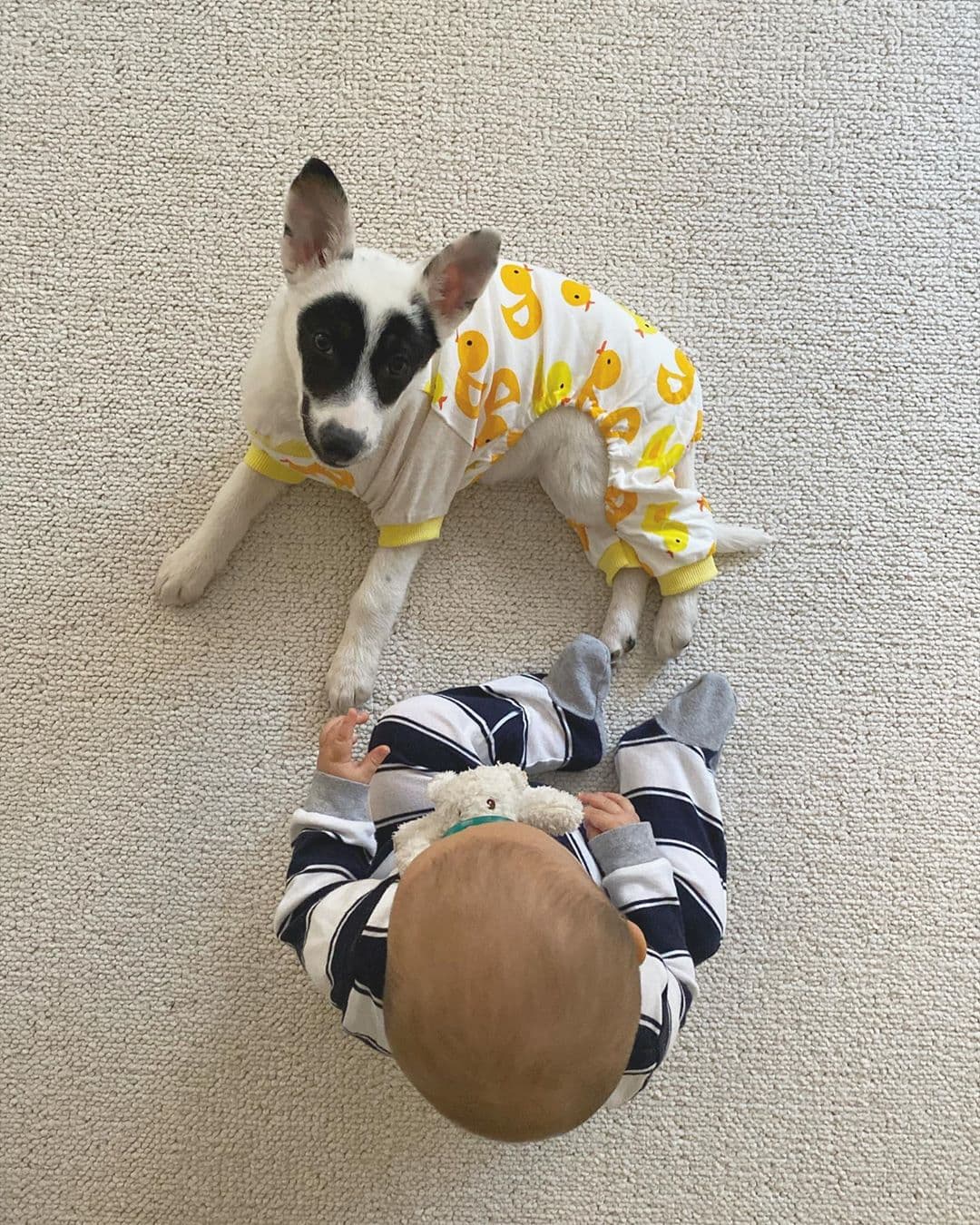 "Les pido que reciban con mucho cariño a la hermanita mas chiquita de la familia", escribió la integrante del dúo mexicoamericano,
<b> Jesse & Joy </b>.Con esta nueva adición, la familia de Joy Huerta queda compuesta por ella, Noah (su bebé),
<b> </b>Ramón (su gato), Emma (su perra) y Diana Atri, su esposa, con quien compartió una foto en la que se le ve el rostro por primera vez.
<br>
<br>
<br>