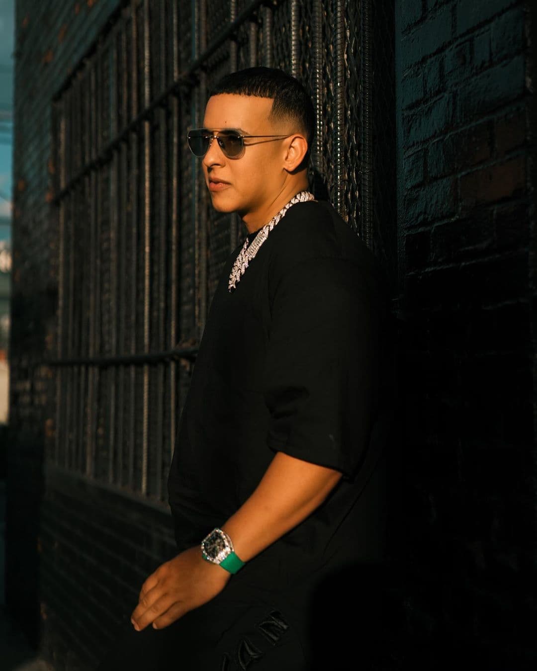 ¿Puedes diferenciarlos?