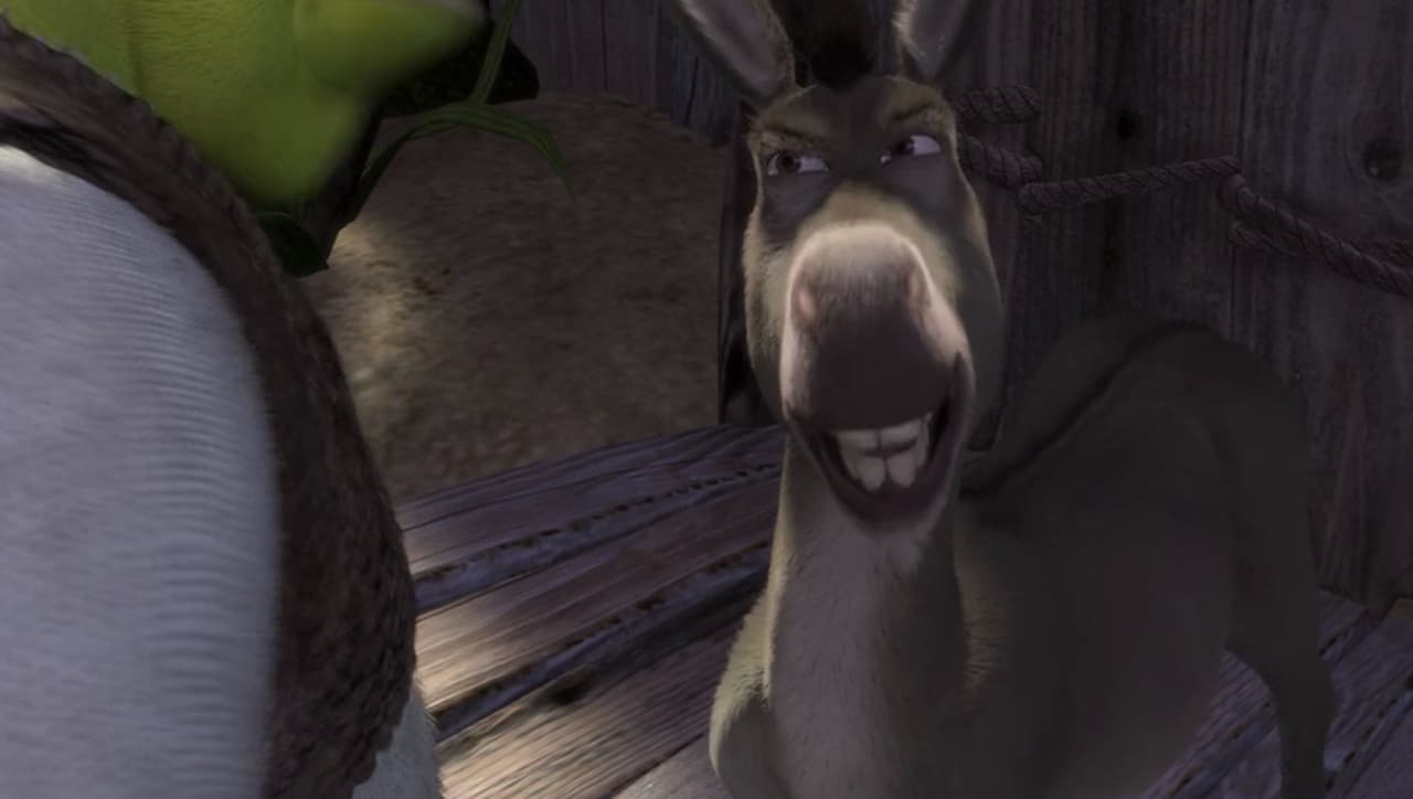 “Claro, eres como un yoyo… yo, yo, yo y “¿qué crees? ¡Ahora voy yo!” - Burro.