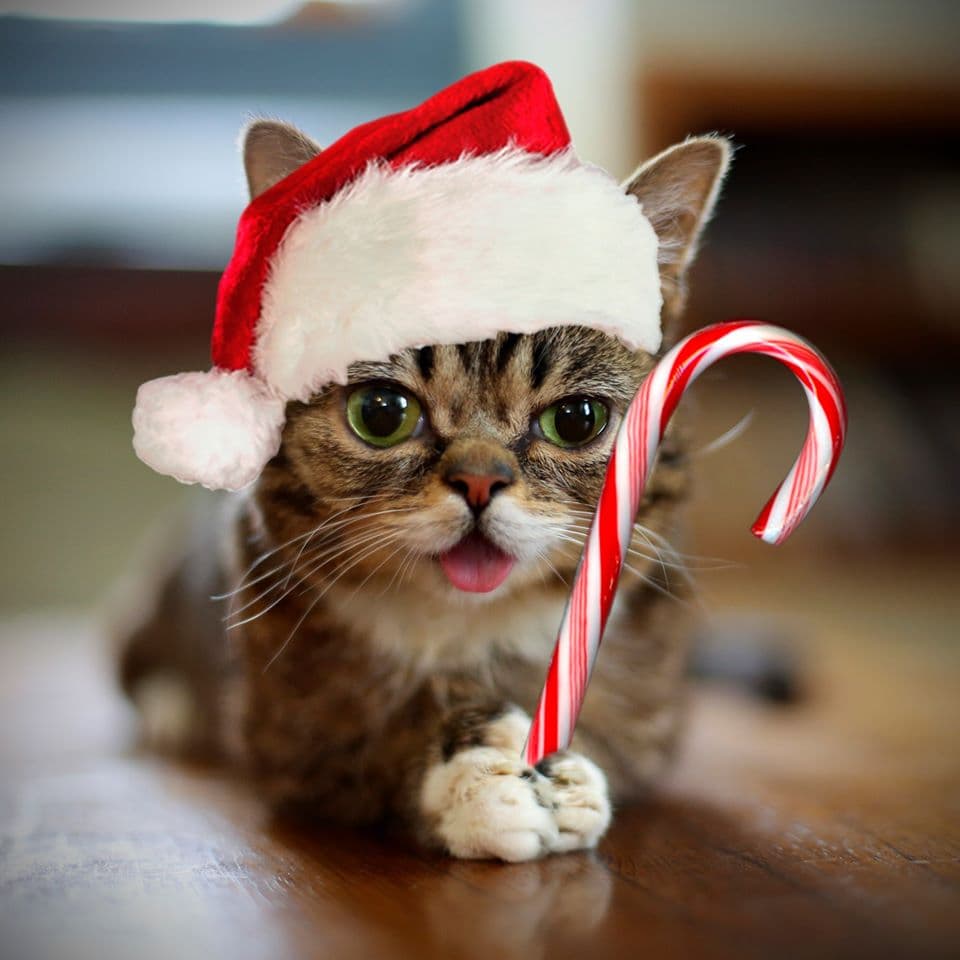 "No vamos a olvidar nunca tu generosidad, ni tu capacidad de dar amor o de brindar alegría y magia", añadió.