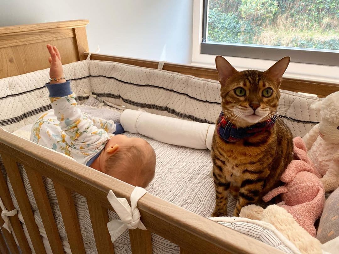 Y siempre se les ve juntos, en la cuna durmiendo. Casi como si Ramón estuviera cuidándola siempre.