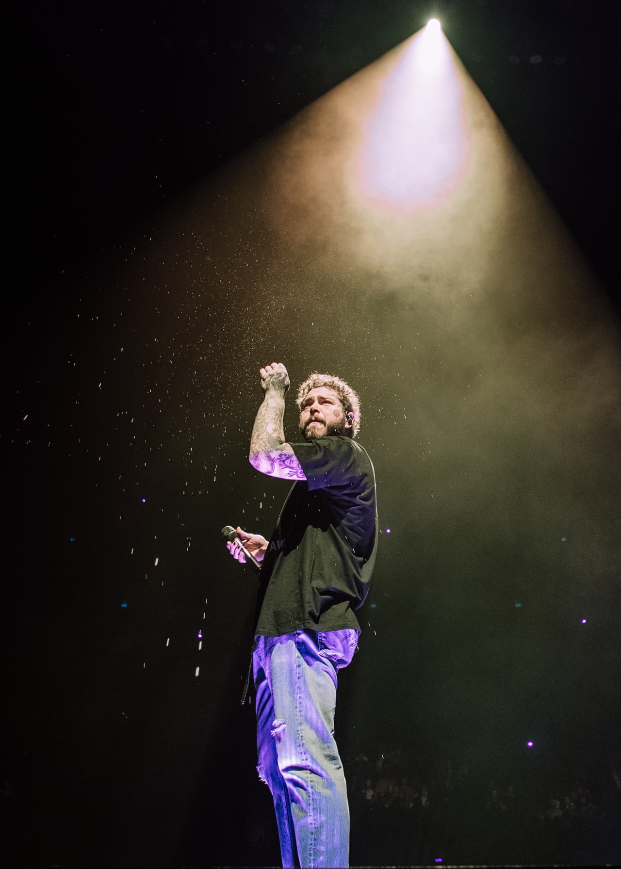 Post Malone se encuentra nominado en 16 categorías entre las cuales se incluyen: Mejor Artista, Mejor Artista Masculino, Mejor Artista de Rap, Mejor Álbum del Top 200 de Billboard, Mejor Canción de Rap, Mejor Colaboración y Mejor Canción de Streaming, entre otros. Su tema que aparece en más categorías es "Sunflowers", canción de la cinta animada "Siper-Man: Into de Spider-Verse".