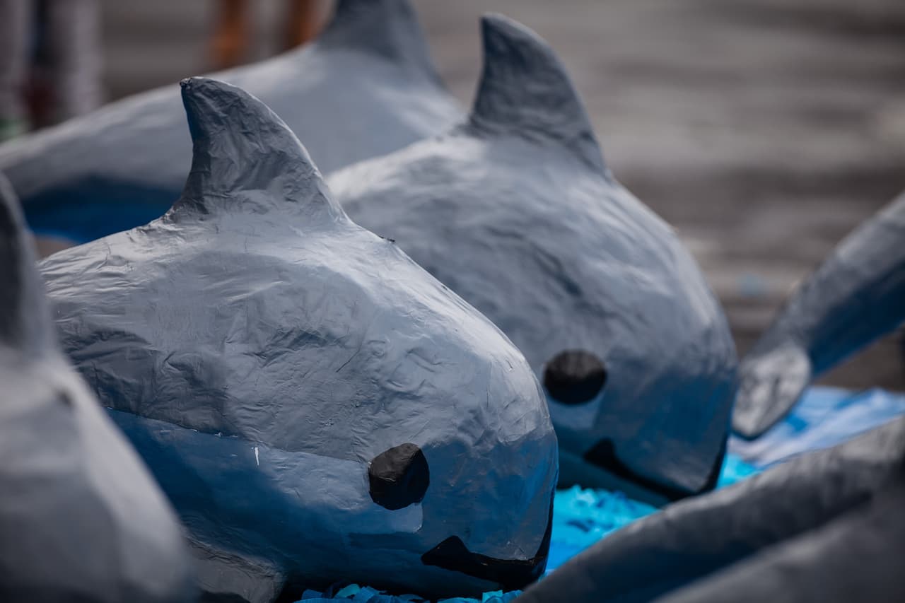 MEXICO CITY, MEXICO - JULY 08: Cardbord figure of the 'Vaquita' are seen during a protest of World Wildlife Found (WWF), outside the National Palace, to protect the 'Marine Cow' or 'Vaquita', in Mexico City, Mexico, on July 08, 2017. The 'Vaquita' is an endangered species that lives only in the Gulf of California. Approximately 30 of these animals remain alive. (Photo by Manuel Velasquez/Anadolu Agency/Getty Images)