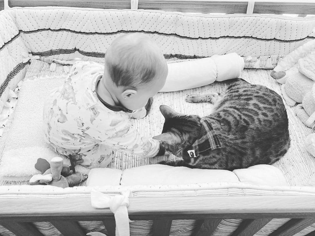 La cantante ha llamado también a sus seguidores para que donen dinero a "
<b>Por Los Que No Tienen Voz</b>", asociación no lucrativa que se encarga darle un hogar temporal a perros maltratados o callejeros, en lo que alguien los adopta de manera permanente.