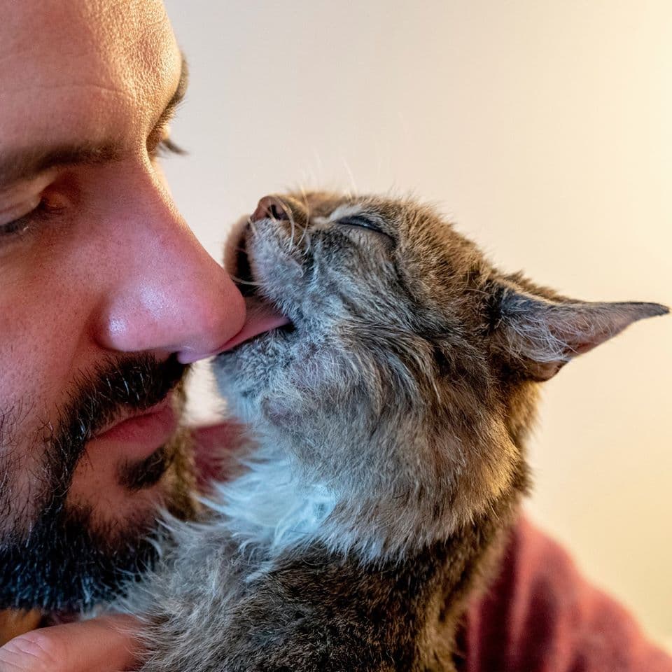 "Me enseñó todo sobre el amor incondicional... Hizo mucho por millones. No sólo de mascotas sin hogar, sino también de humanos. Ayudó a crear fondos para mascotas con necesidades especiales e investigaciones genéticas", aseguraron sus propietarios.